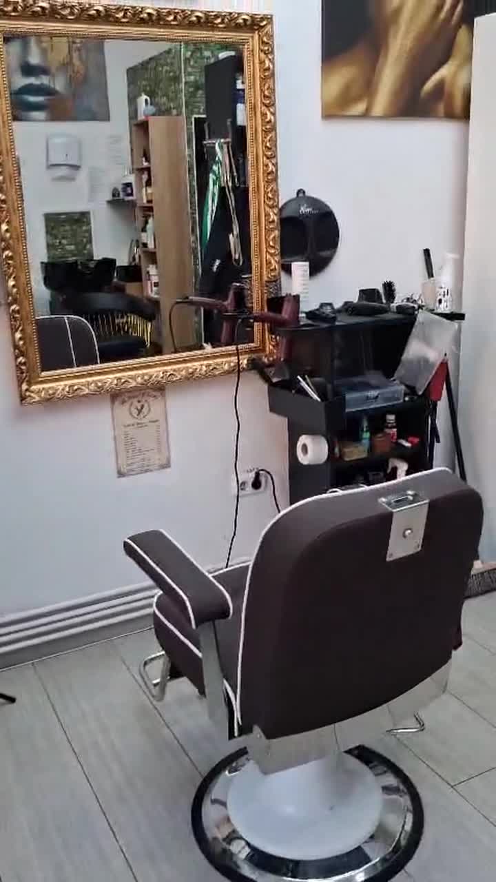 Interiorul real al salonului lui Tavi